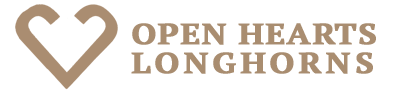 Open Hearts Longhorns logo